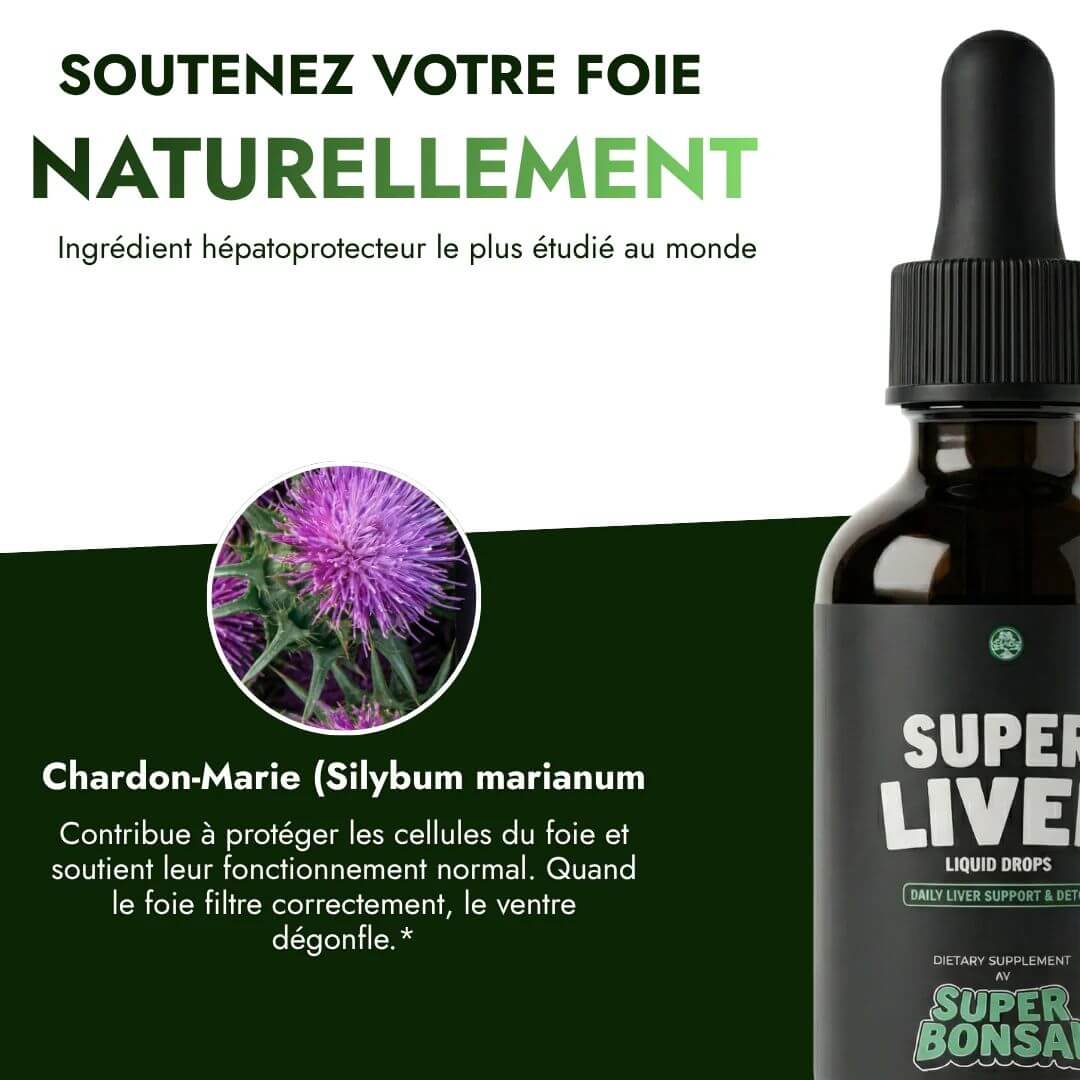 ALLYNE —  Retrouvez un ventre plat durablement